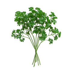 Fresh Parsley Bouquet