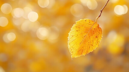 Poster - Close-Up of Yellow Autumn Leaf with Golden Bokeh Background
