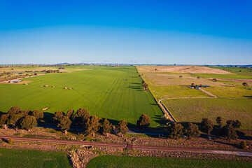 The photo was taken of scenery along the way to Harden town, featuring fields of rapeseed flowers