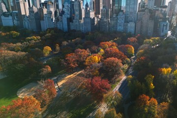 Autumn Fall. Autumnal Central Park view from drone. Aerial of NY City Manhattan Central Park panorama in Autumn. Autumn in Central Park. Autumn NYC. Central Park Fall Colors of foliage.