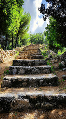 Wall Mural - Ancient stone steps lead up through lush greenery, inviting exploration and evoking sense of history and tranquility. path is framed by trees and natural beauty