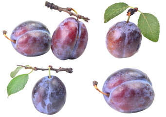 Wall Mural - Plums with leaves isolated