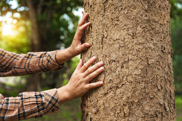 A man's hands gently touch the rough bark of a towering tree, symbolizing a deep connection with nature. In the forest, he embraces the importance of environmental care and protecting the planet.