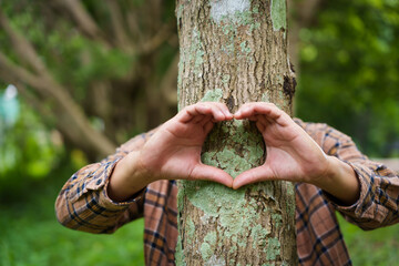 Wall Mural - Forest conservationist forms heart shape with their hands around a tree trunk in a peaceful park. love for nature, commitment to environmental protection, importance of sustainable ecosystems.