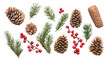 © DreamStock - Flat Lay Christmas Composition with Pine Branches, Red Berries, and Pine Cones on White Background for Card Design