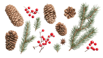 Wall Mural - flat lay christmas composition with pine branches, red berries, and pine cones on white background f