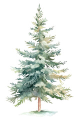 Wall Mural - watercolor christmas tree clipart, pine illustration on white background for children's book design