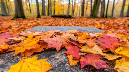 Canvas Print - Vibrant Autumn Leaves on Stone Pathway with Blurry Forest Background - Perfect Fall Season Stock Photo