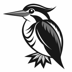 Wall Mural - kingfisher