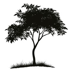 Poster - neem Tree, vector black color silhouette, isolated white background