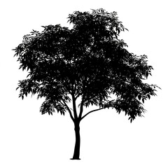 Sticker - neem Tree, vector black color silhouette, isolated white background