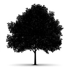 Sticker - field maple tree, vector black color silhouette, isolated white background