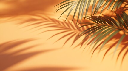 A close-up of palm leaves casting long shadows on a peach-colored background.