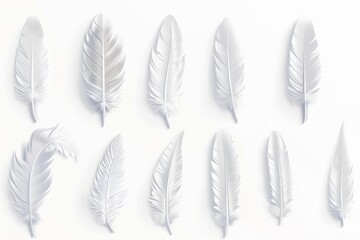 Wall Mural - Feather icon, animal feathers isolated, plume symbol, elegant soft plume sign on white background