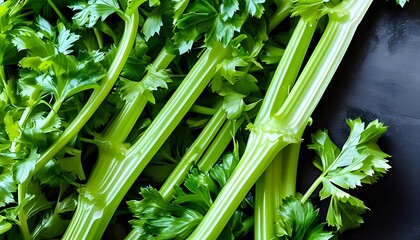 Wall Mural - Vibrant celery stalks with lush green leaves, ideal for wholesome dishes and refreshing salads