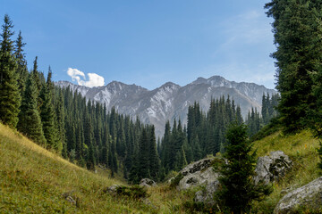 Wall Mural - Beautiful mountain landscape, forest and mountains in summer time. Valley in Kazakhstan.