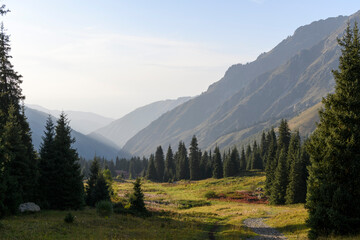 Wall Mural - Beautiful mountain landscape, forest and mountains in summer time. Valley in Kazakhstan.