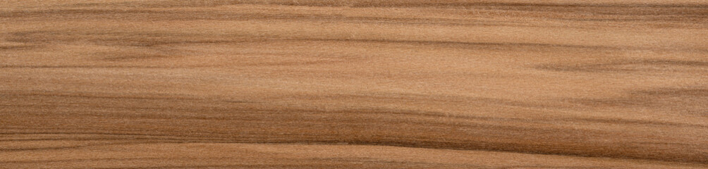 Wall Mural - Two-tone sap gum veneer with contrasting light and dark wood streaks