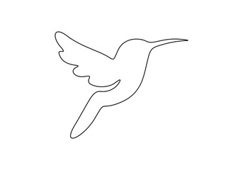 Wall Mural - Hummingbird in one continuous line drawing. Isolated on white background vector illustration