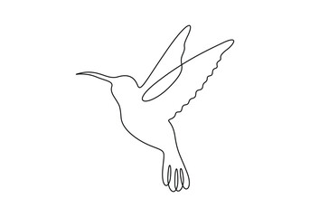 Wall Mural - Hummingbird in one continuous line drawing. Isolated on white background vector illustration