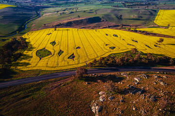 The photo was taken of scenery along the way to Harden town, featuring fields of rapeseed flowers