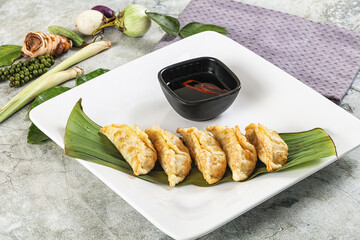 Japanese cuisine - stuffed dumplings gyoza