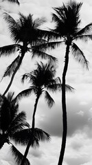 Canvas Print - Silhouettes of palm trees against a cloudy sky.