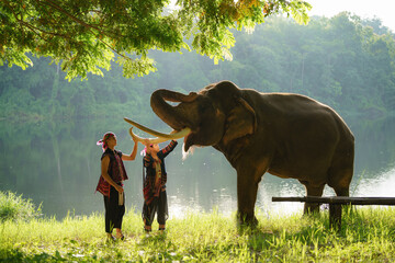 Two young men in hill tribe clothes are raising an elephant.