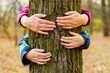 © spyrakot - Hands hugging tree in the forest close-up