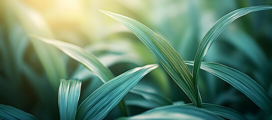 Poster - Close-up of fresh green leaves under soft sunlight, creating a serene and vibrant nature scene. Perfect for nature-themed projects.