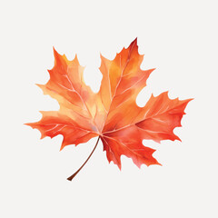 Wall Mural - Vibrant autumn maple leaf illustration