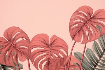 Tropical pink monstera leaves illustration