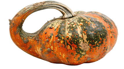 Pumpkin on transparent background