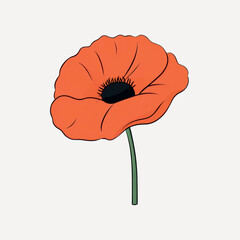 Wall Mural - Vibrant poppy flower illustration design