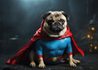 © Anton Dios - A superhero pug in a colorful costume poses confidently, showcasing bravery