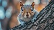 © Viktor - A startled squirrel, gazing directly into the camera from a tree branch