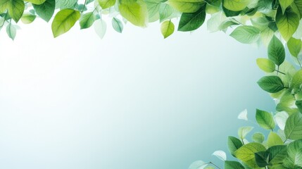 Poster - A dark, elegant background featuring green leaves that outline the borders of the frame, leaving a crisp white space in the middle.