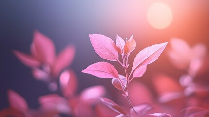  A crisp image of a pink plant with distinct leaves in the foreground and an out-of-focus background