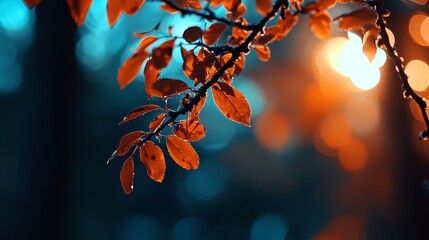 Wall Mural -  A tight shot of a leafy tree branch, sun rays filtering through its foliage, background comprised of blurred trees