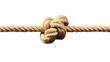 © Delques - Rope with knot isolated on transparent background