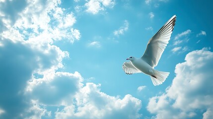 Canvas Print - Graceful Bird Gliding Under Pristine Blue Sky with Fluffy White Clouds, Embracing Freedom and Tranquility 