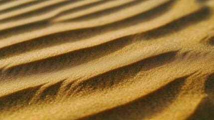 Poster - A close-up of rippled sand patterns created by the wind across the surface of a desert dune.