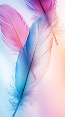 Sticker - Colorful feathers on pastel background, airy and delicate essence. Art and design concept