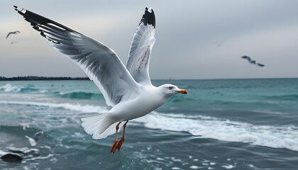 Wall Mural - Majestic seagull soaring above a tranquil ocean under a bright blue sky