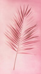 Wall Mural - Pink palm leaf on a pastel background, minimalist nature concept