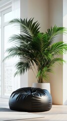 Wall Mural - Modern interior with palm plant and black bean bag, minimalist living space concept