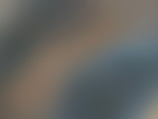 Wall Mural - A blurry image of a person with a dark background