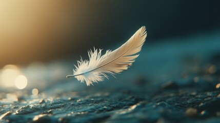 A single white feather floats gently in the air, bathed in the golden glow of the setting sun.