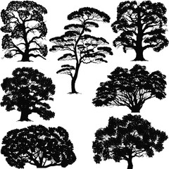 Wall Mural - isolated on white lush seven trees