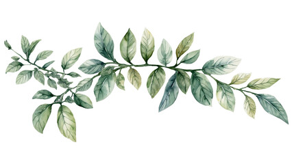 Leafy Vine Illustration in Elegant Watercolor Style (PNG)